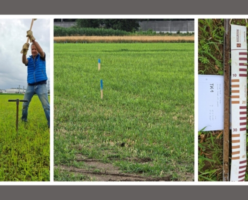 Bodenkundliche Baubegleitung, AGRI PV Anlage Timelkam Bodenkundliche Baubegleitung, AGRI PV Anlage Timelkam