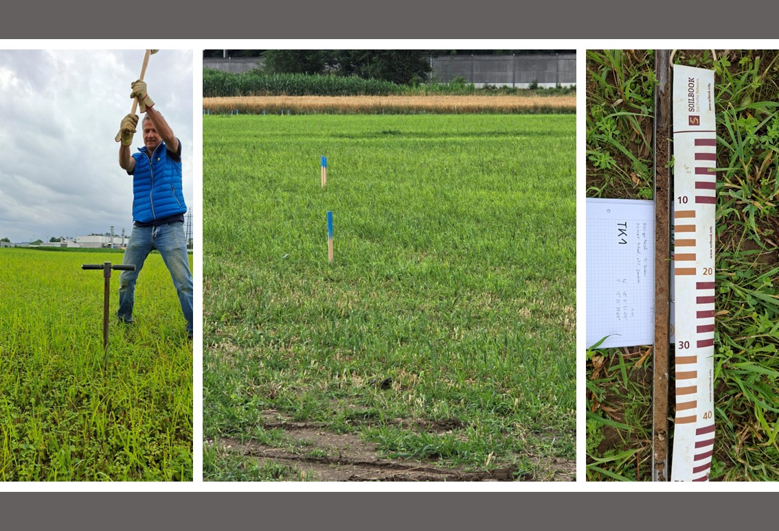 Bodenkundliche Baubegleitung, AGRI PV Anlage Timelkam Bodenkundliche Baubegleitung, AGRI PV Anlage Timelkam