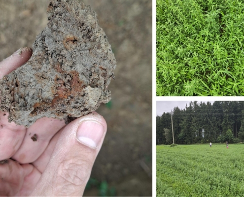 Bodenkundliche Baubegleitung, AGRI PV Anlage Ort im Innkreis Bodenkundliche Baubegleitung, AGRI PV Anlage Ort im Innkreis