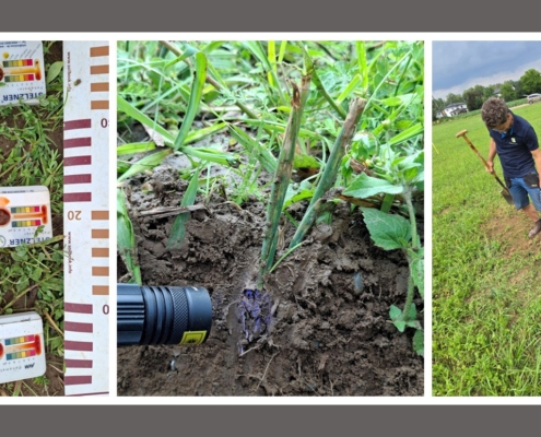 Bodenkundliche Baubegleitung, AGRI PV Anlage Timelkam Bodenkundliche Baubegleitung, AGRI PV Anlage Timelkam
