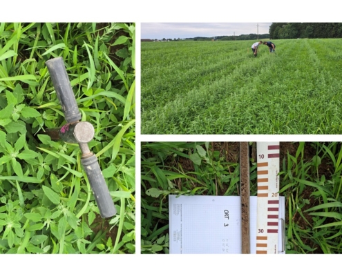 Bodenkundliche Baubegleitung, AGRI PV Anlage Ort im Innkreis Bodenkundliche Baubegleitung, AGRI PV Anlage Ort im Innkreis