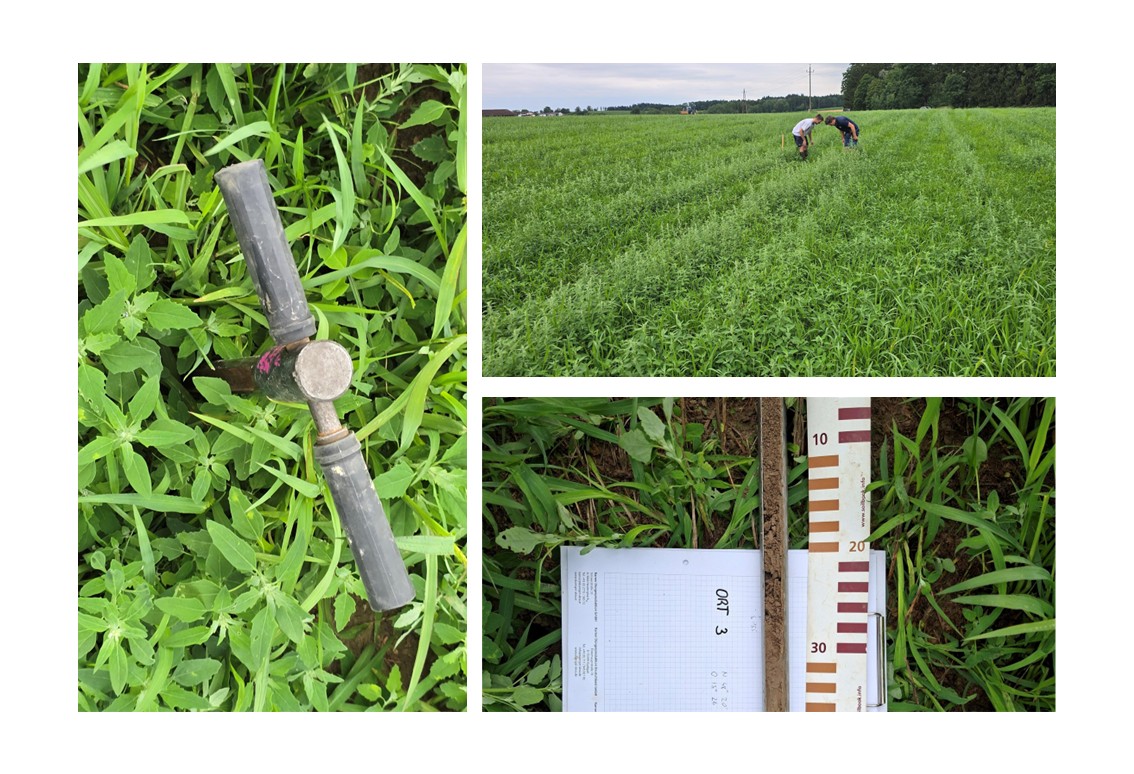 Bodenkundliche Baubegleitung, AGRI PV Anlage Ort im Innkreis Bodenkundliche Baubegleitung, AGRI PV Anlage Ort im Innkreis